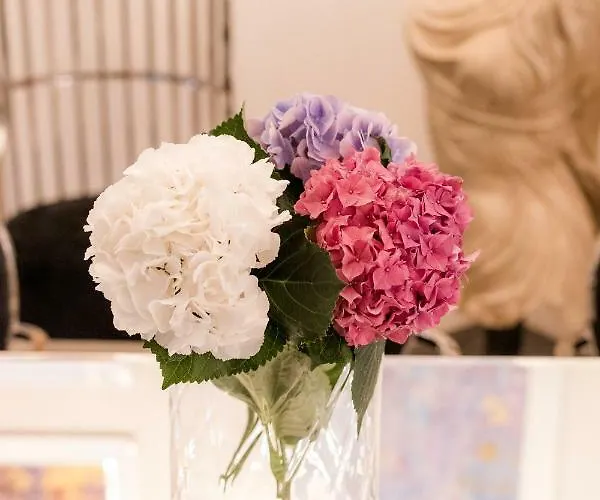 アパート Ab - The *